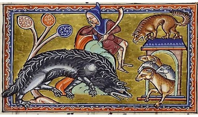 L’homme médiéval et l’animal écrit par l'auteure Emilie Dherin